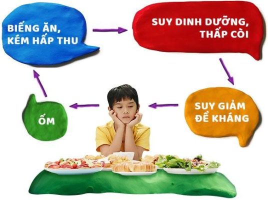 Biếng ăn ở trẻ: Nguyên nhân và cách khắc phục 2